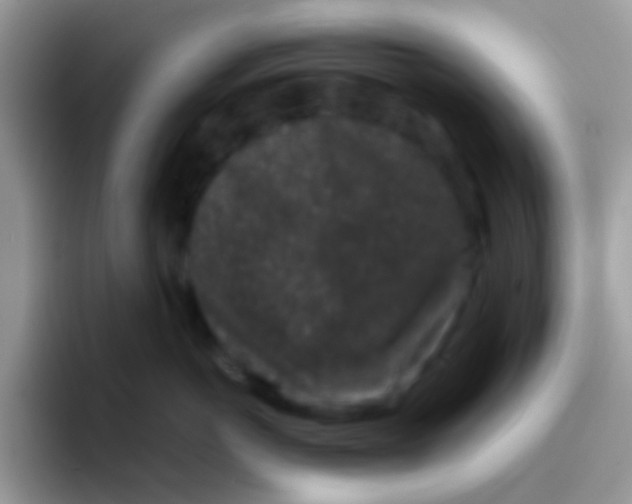 X0000095920766200802081113