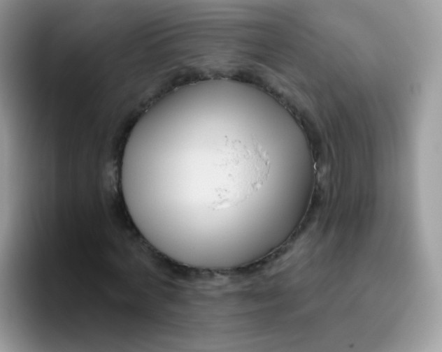 X0000095920772200802081112