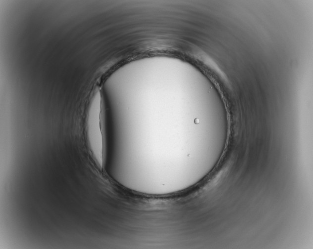 X0000095920777200802081112