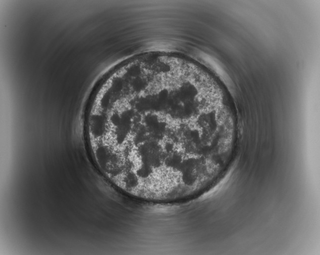 X0000095920779200802081112