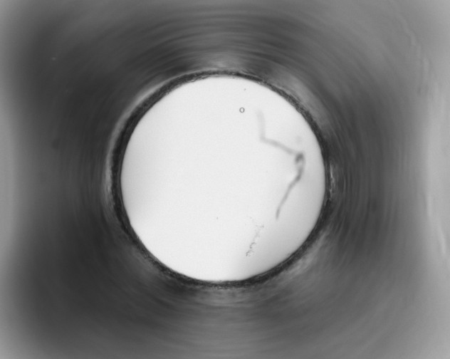 X0000095920780200802081112