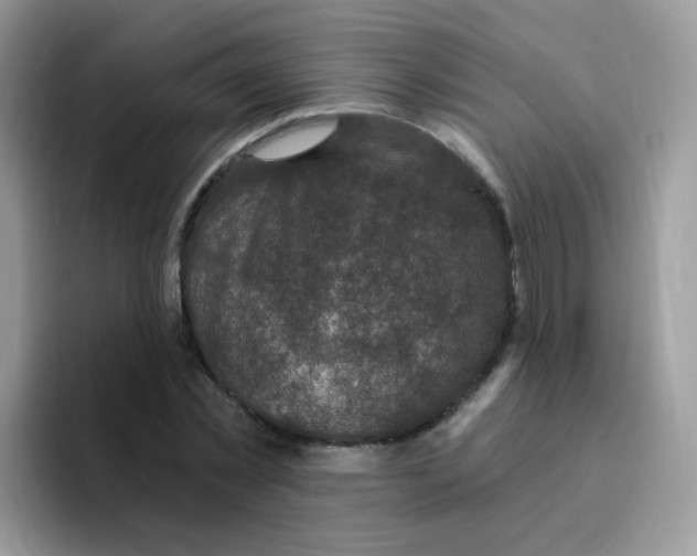 X0000095920781200802081112