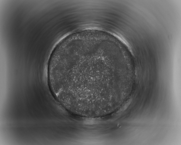 X0000095920790200802081112