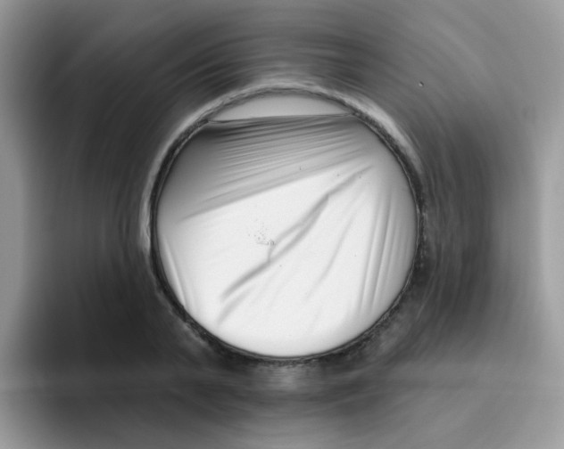 X0000095920791200802081112