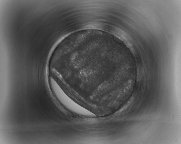 X0000095920796200802081112