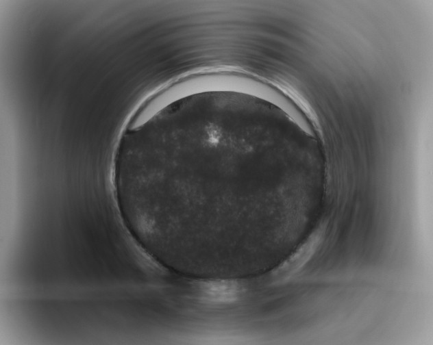 X0000095920797200802081112