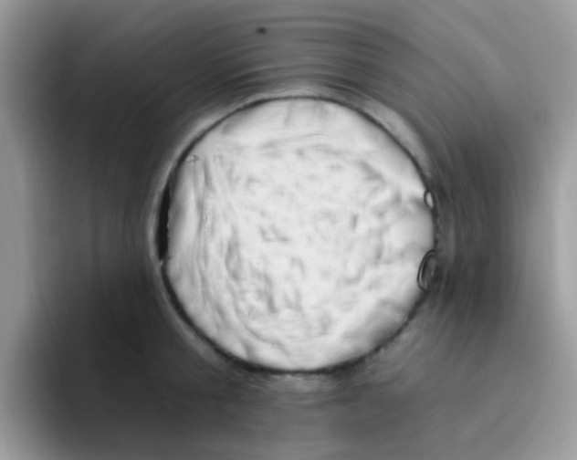 X0000095920805200802081112