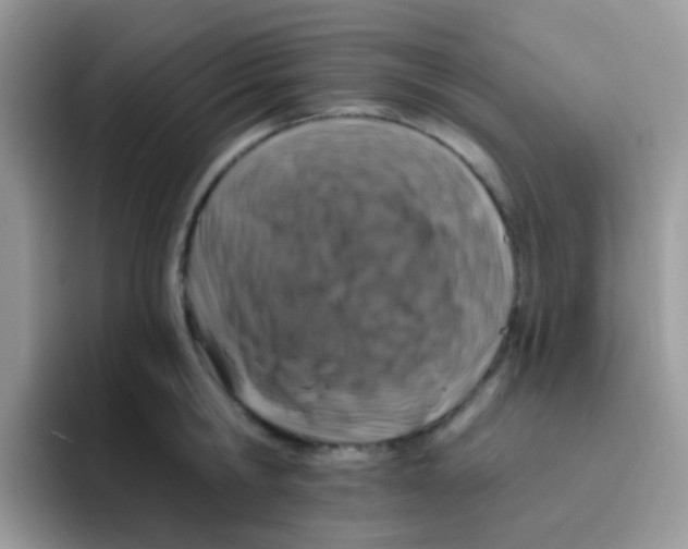 X0000095920806200802081112