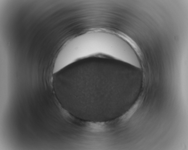 X0000095920809200802081112