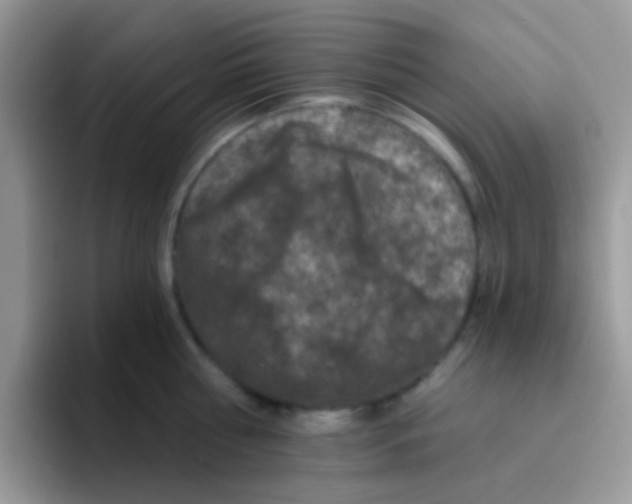 X0000095920810200802081112