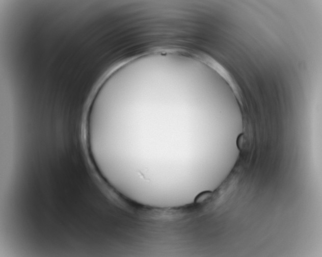 X0000095920811200802081112