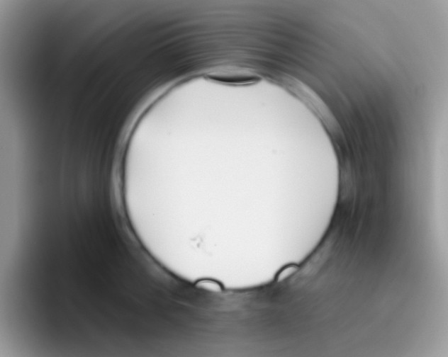 X0000095920812200802081112