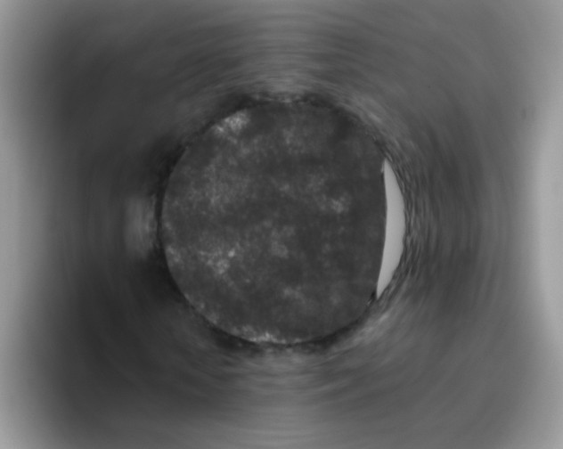 X0000095920818200802081111