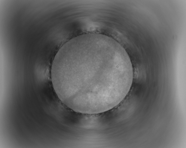 X0000095920820200802081111