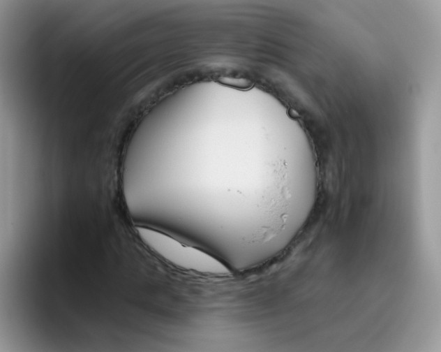 X0000095920821200802081111