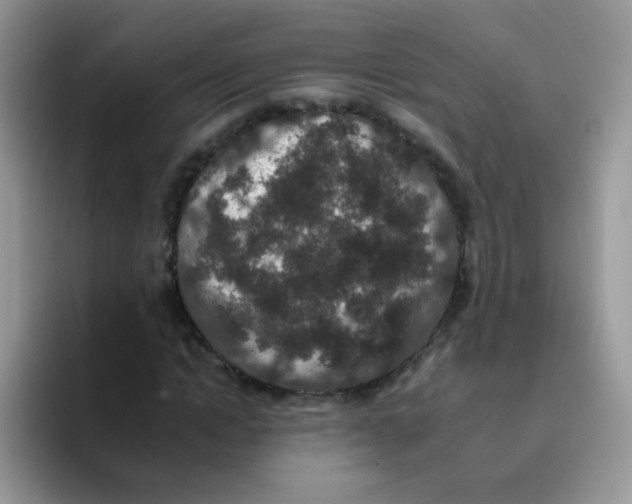 X0000095920822200802081111