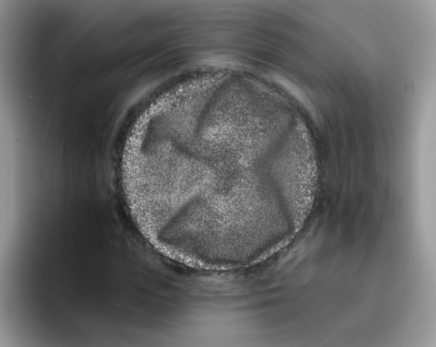 X0000095920823200802081111