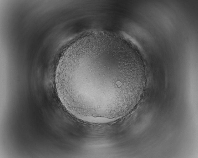 X0000095920824200802081111