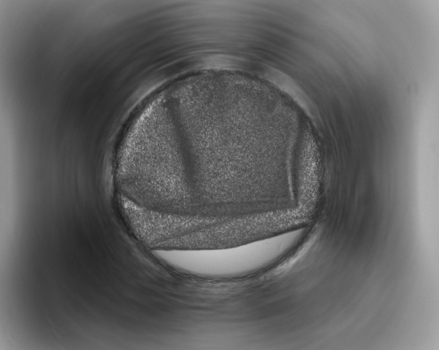 X0000095920829200802081111