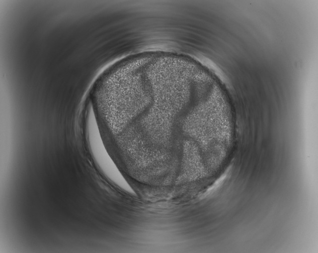 X0000095920830200802081111