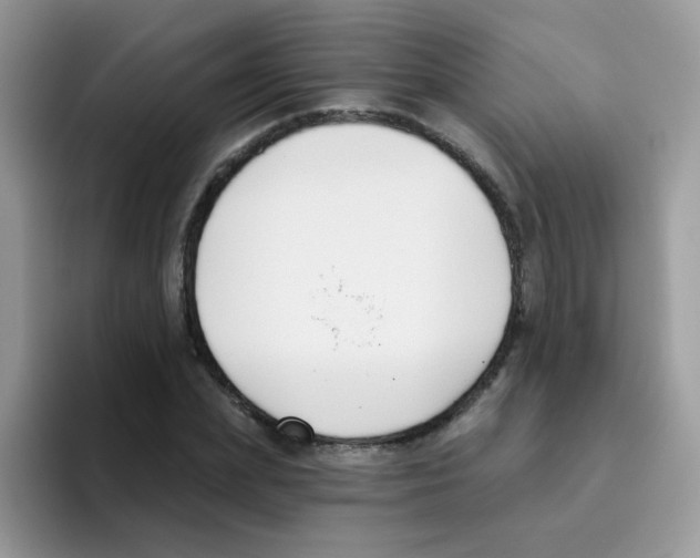 X0000095920831200802081111