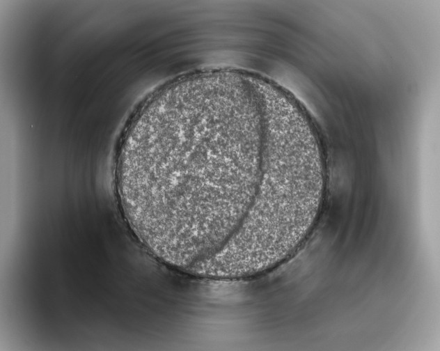 X0000095920832200802081111