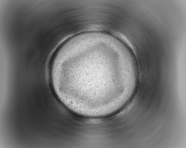 X0000095920835200802081111