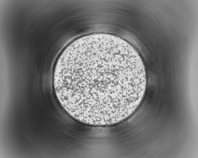 X0000095920836200802081111