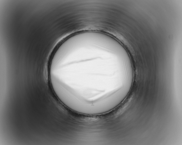 X0000095920838200802081111