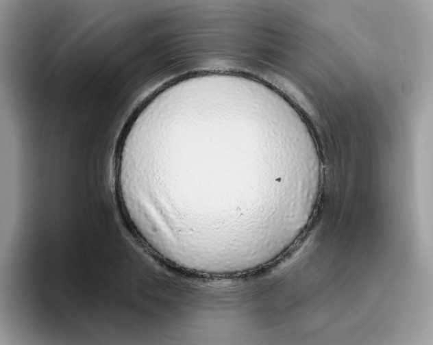 X0000095920839200802081111