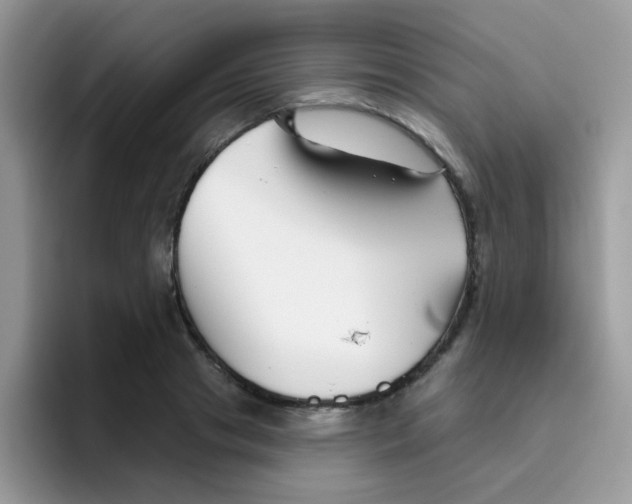 X0000095920841200802081111