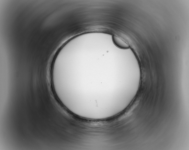 X0000095920843200802081112