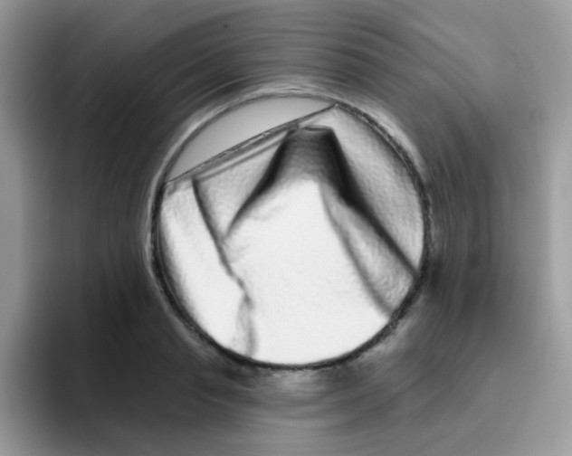 X0000095920845200802081112