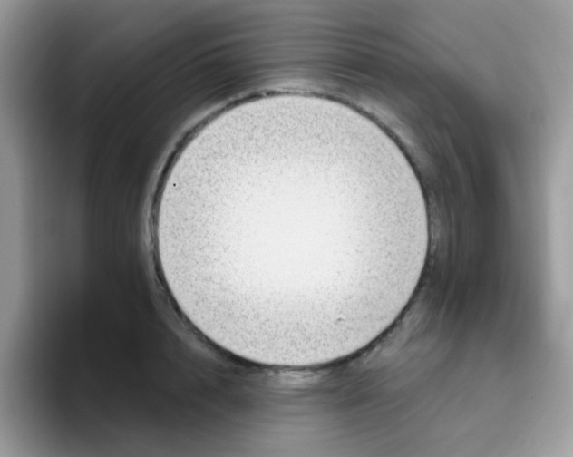 X0000095920848200802081112