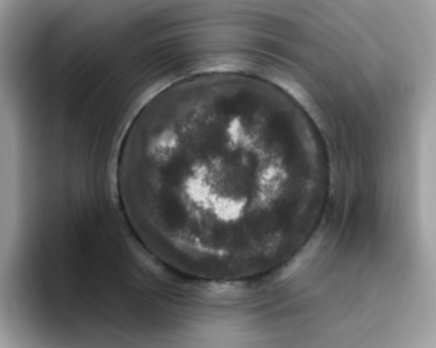 X0000095920850200802081112