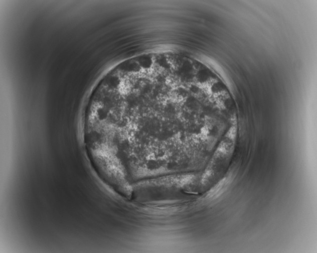 X0000095920851200802081112