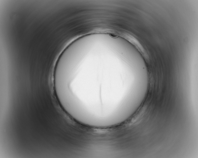 X0000095920852200802081112