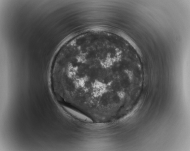 X0000095920853200802081112