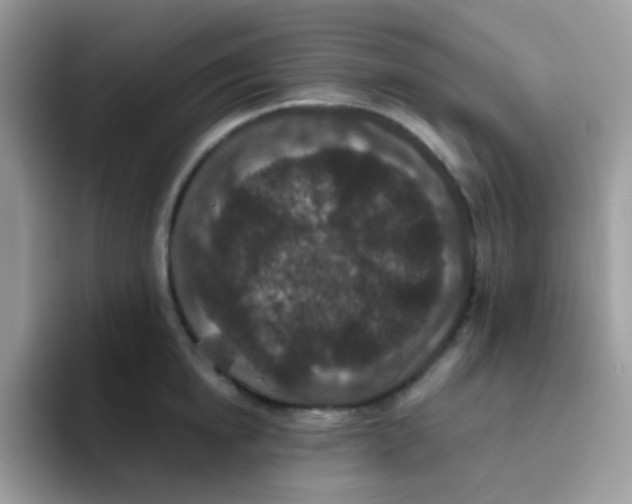 X0000095920854200802081112