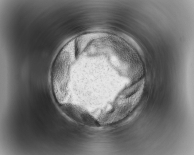 X0000095920855200802081112