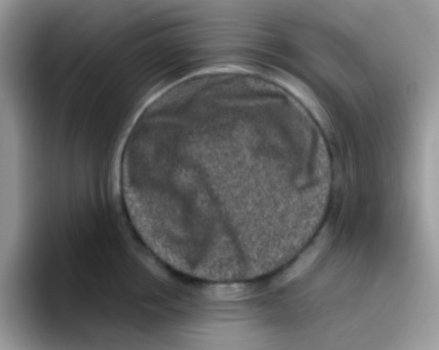 X0000095920858200802081112