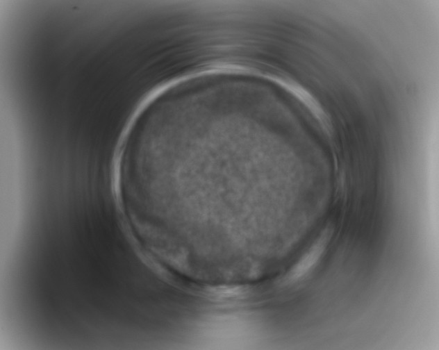 X0000095920862200802081112