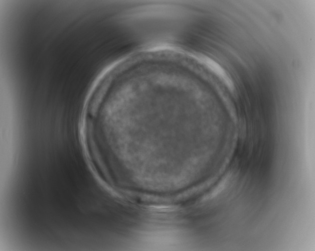 X0000095920863200802081112