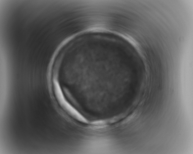 X0000095920864200802081112