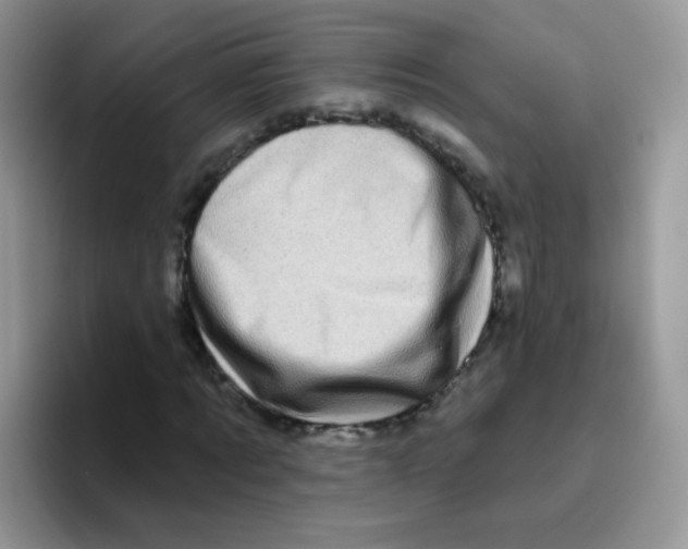 X0000095920869200802081111