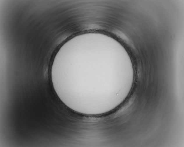 X0000095920873200802081111