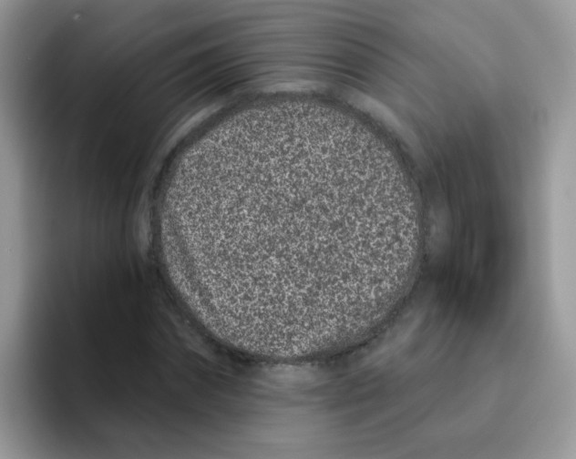 X0000095920874200802081111