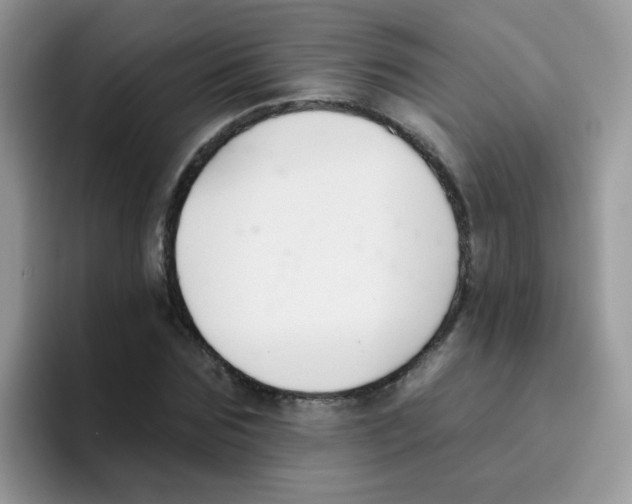 X0000095920875200802081111