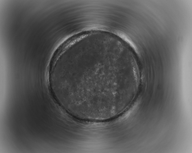 X0000095920877200802081111