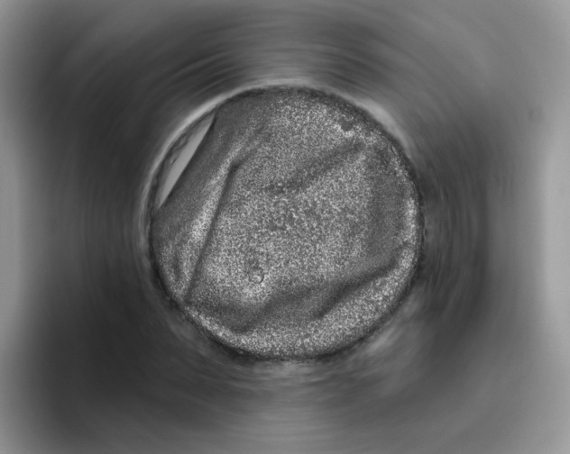 X0000095920879200802081111